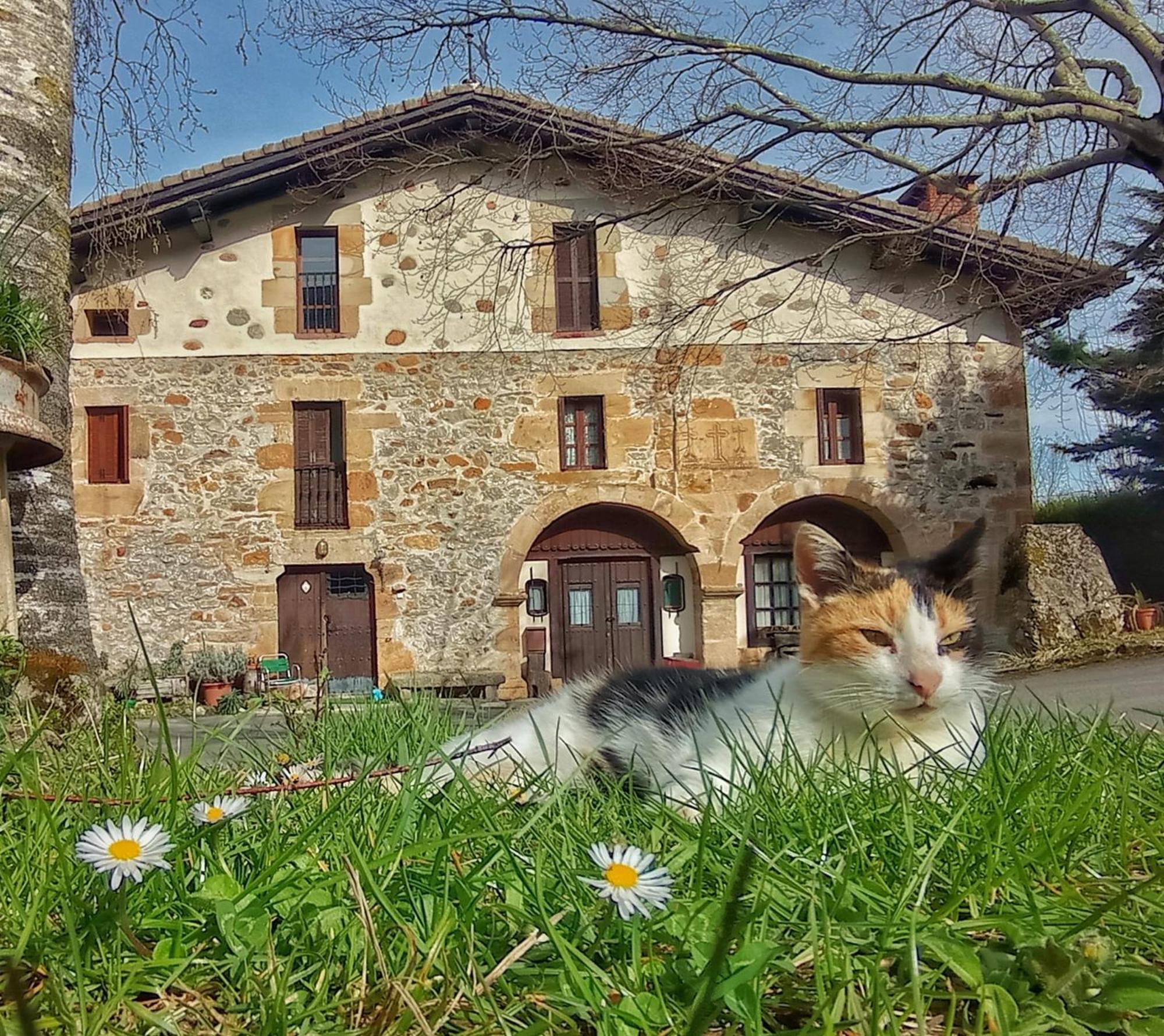 Casa Rural Areano Escoriaza Екстер'єр фото