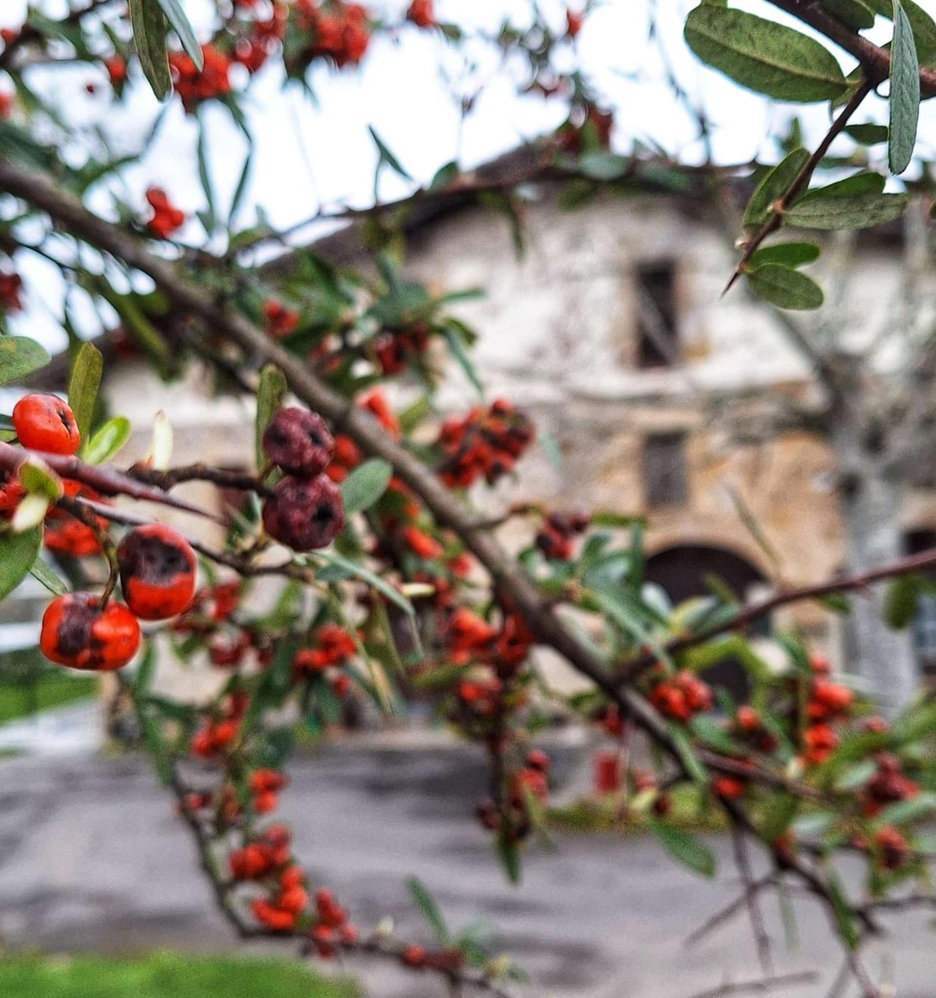 Casa Rural Areano Escoriaza Екстер'єр фото