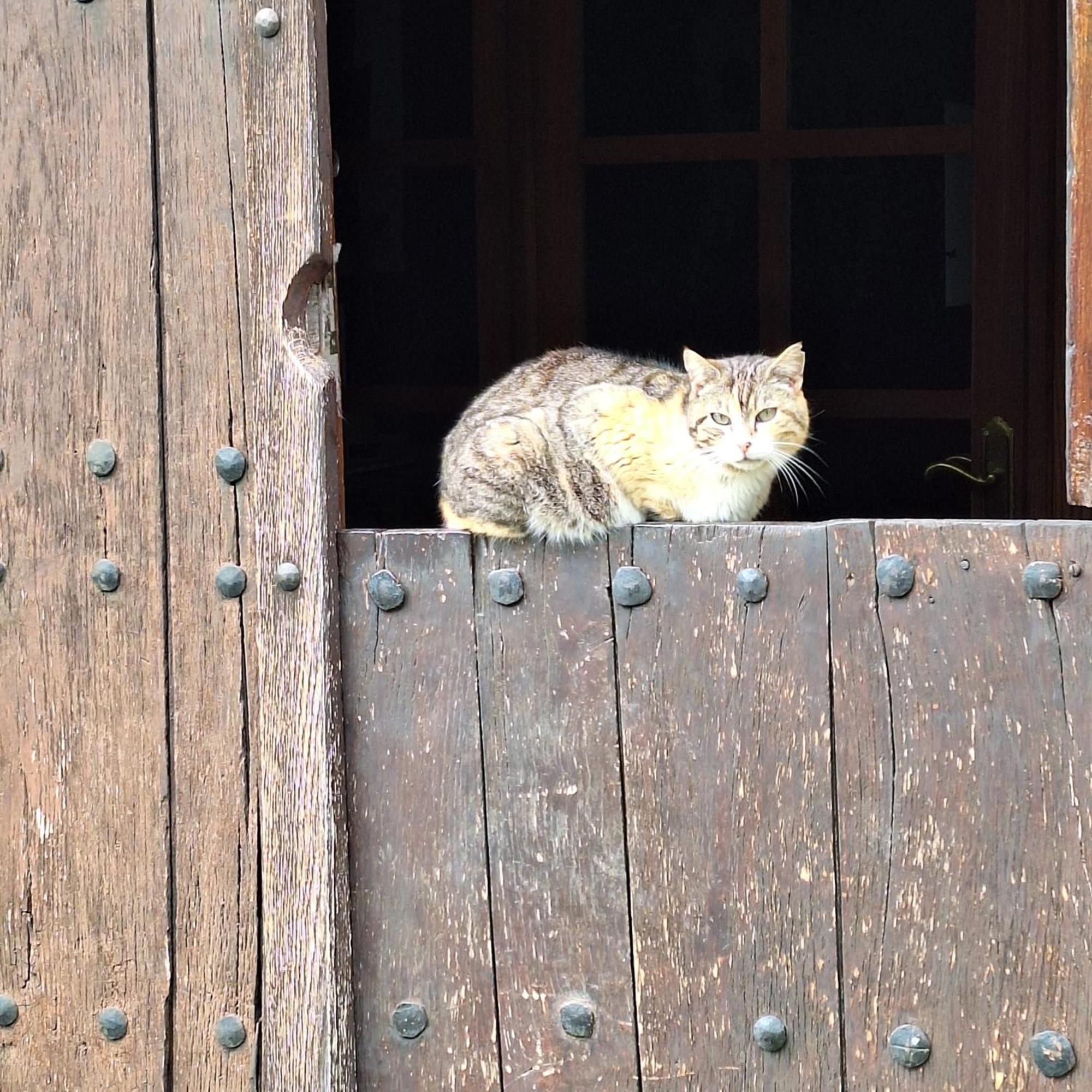 Casa Rural Areano Escoriaza Екстер'єр фото